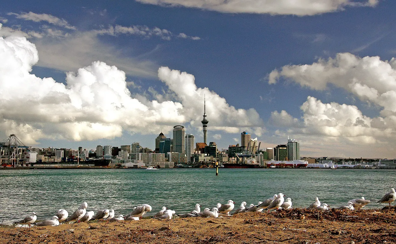 Körfez kıyısından Auckland silueti ve Sky Tower